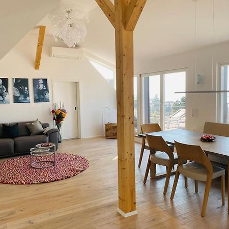Bodensee Apartments Meersburg Sonnhalde المظهر الخارجي الصورة